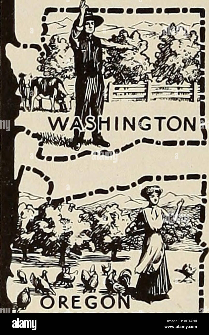 . Mieux les fruits. La culture de fruits. Les Territoires du Fertile ! La prospérité States of America €J,une maison dans ce pays d'Abondance. Faire un confortable salon et un bon profit-comme des milliers, ce sont les fruits, les légumes, les céréales, d'herbes, de luzerne, de bovins (ou de l'industrie laitière), le porc, la volaille, les abeilles.^un climat de plus en plus sains, productifs, merveilleusement des terres irriguées et dans les sections non irriguées -. Gouverne- ment libre choix des terres dans les localités. De nouvelles extensions de la Northern Pacific Rail- "'"*""""""""" cours et ses lignes alliées ouvrent de riches champs de l'accueil Banque D'Images