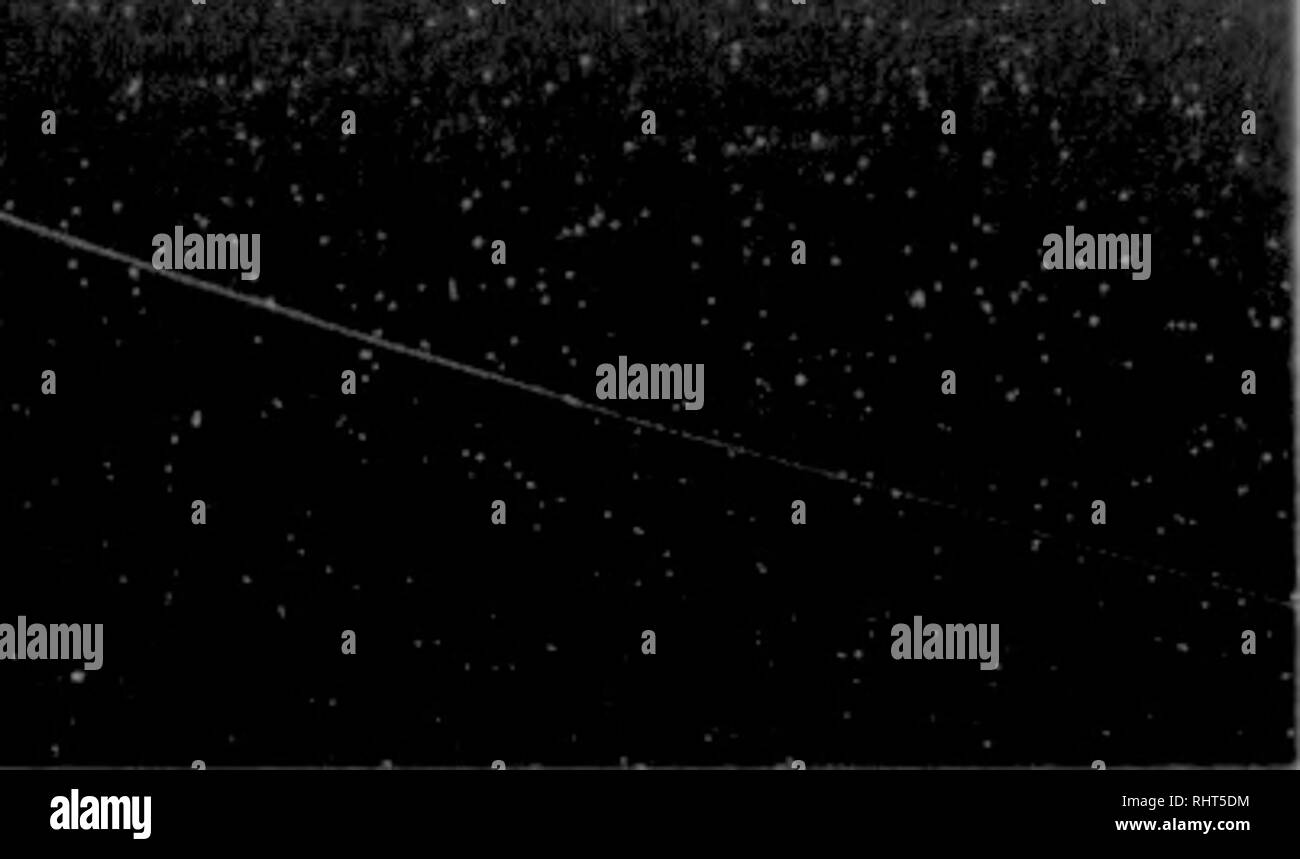 . Biggle horse livre. Les chevaux. 22 LES DIFFÉRENTES RACES. enregistrements sous forme de trotter, et n'est en aucun cas dépourvu de voies de qualifications. Le projet de cheval. Peu d'hommes qui achètent des chevaux se demander s'ils ne sont ni- man, Clyde, Belge, Percheron ou Suffolk. Ils cherchent seulement. Veuillez noter que ces images sont extraites de la page numérisée des images qui peuvent avoir été retouchées numériquement pour plus de lisibilité - coloration et l'aspect de ces illustrations ne peut pas parfaitement ressembler à l'œuvre originale.. Biggle, Jacob. Philadelphia : W. Atkinson Co. Banque D'Images