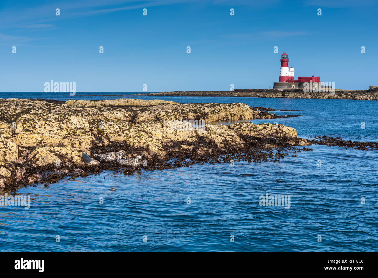 Longstone phare, Iles Farne, Northumberland, Angleterre Banque D'Images