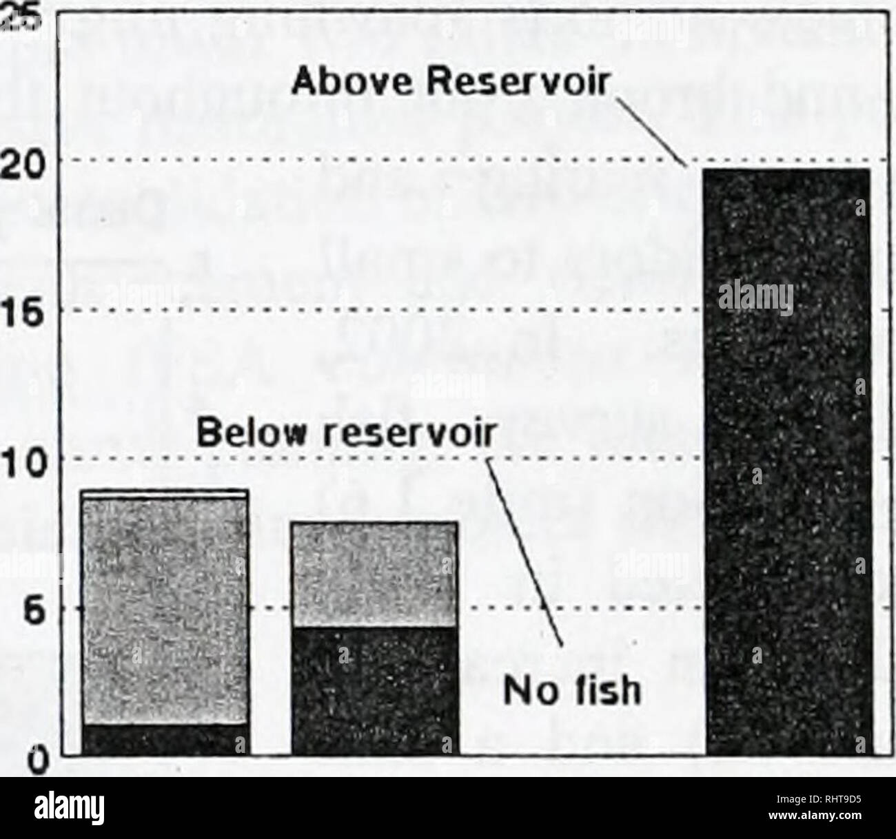 . La grande restauration de la rivière Blackfoot rapport d'avancement pour 2002 et 2003 . Les populations de poissons ; poissons ; gestion des pêches ; la pêche à la truite ; écologie ; les flux de la rivière Blackfoot (Mont. ). Une barrière totale à des mouvements en amont de WSCT. Pays de Galles Creek est un des rares cours d'eau dans le bassin versant des Pieds-noirs où une quantité importante du bassin hydrographique est constitué de granite. Les cours d'eau avec cette composition géologique sont particulièrement vulnérables aux effets liés aux sédiments. En 2003, nous avons commencé à évaluer les galles Creek à partir d'une perspective de restauration. L'évaluation portera en 2004 et se concentrer sur l'irrigation et en Banque D'Images