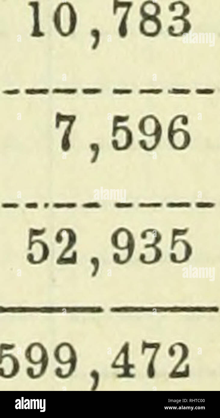 . Rapport biennal - Kentucky Department of Agriculture. L'agriculture, les forêts et la foresterie. Tableaux statistiques. N° 4-suite. 699 boisseaux de maïs, 1877. 265 600 405 623 143 465 559 160 294 525 98 964 .551 624 121 984 288 290 1 263 100 I,258 357 802 405 488 185 91 802 274 842 382 325 567 390 100 485 1.015,280 651 200 400 446 459 056 371 975 376 311 521 287 1 009 235 673 950 815 350 480 900 909 547 188 437 833 655 143 918 506 140 127 772 642 580 304 085 297 805 145 018 321 625 947 510 1 173 805 611 972 624 616 338 718 648 080 567 572 370 950 1 212 120 1 365 215 727 390 498 144 479 470 385 520 Banque D'Images