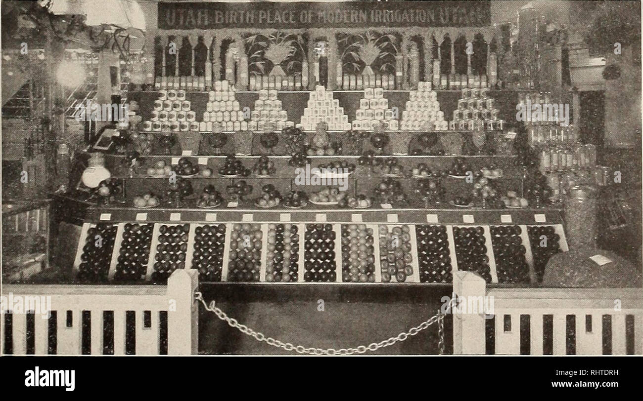 . Mieux les fruits. La culture de fruits. Le sud de l'Idaho la pomme sur l'exposition au congrès national de l'horticulture à Council Bluffs en 1910, qui vous donnera une idée de ce que l'émission sera cette année à Saint Joseph, Missouri, du 23 novembre au 2 décembre dans les montagnes de l'ouest de la Caroline du Nord, où le sol et le climat est bien le même qu'en Virginie de l'Ouest ; les principales variétés sont la Winesap, York, Rome Impériale beauté et Ben Davis. La pulvérisation et la culture sont le prac- ticed, mais dans une mesure limitée. De nombreux vergers sont en cours de création et de croissance d'Apple est de plus en plus populaire dans les régions adaptées. Appl Banque D'Images