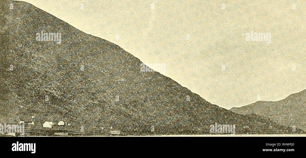 Musees 08 Bergens rbog La Science 18 J Rekstad No Ved Den eimgaard A Verste Mv F Forreste Kant 17 6 M O Tanor S Terrassetrin Vea A A 18 6