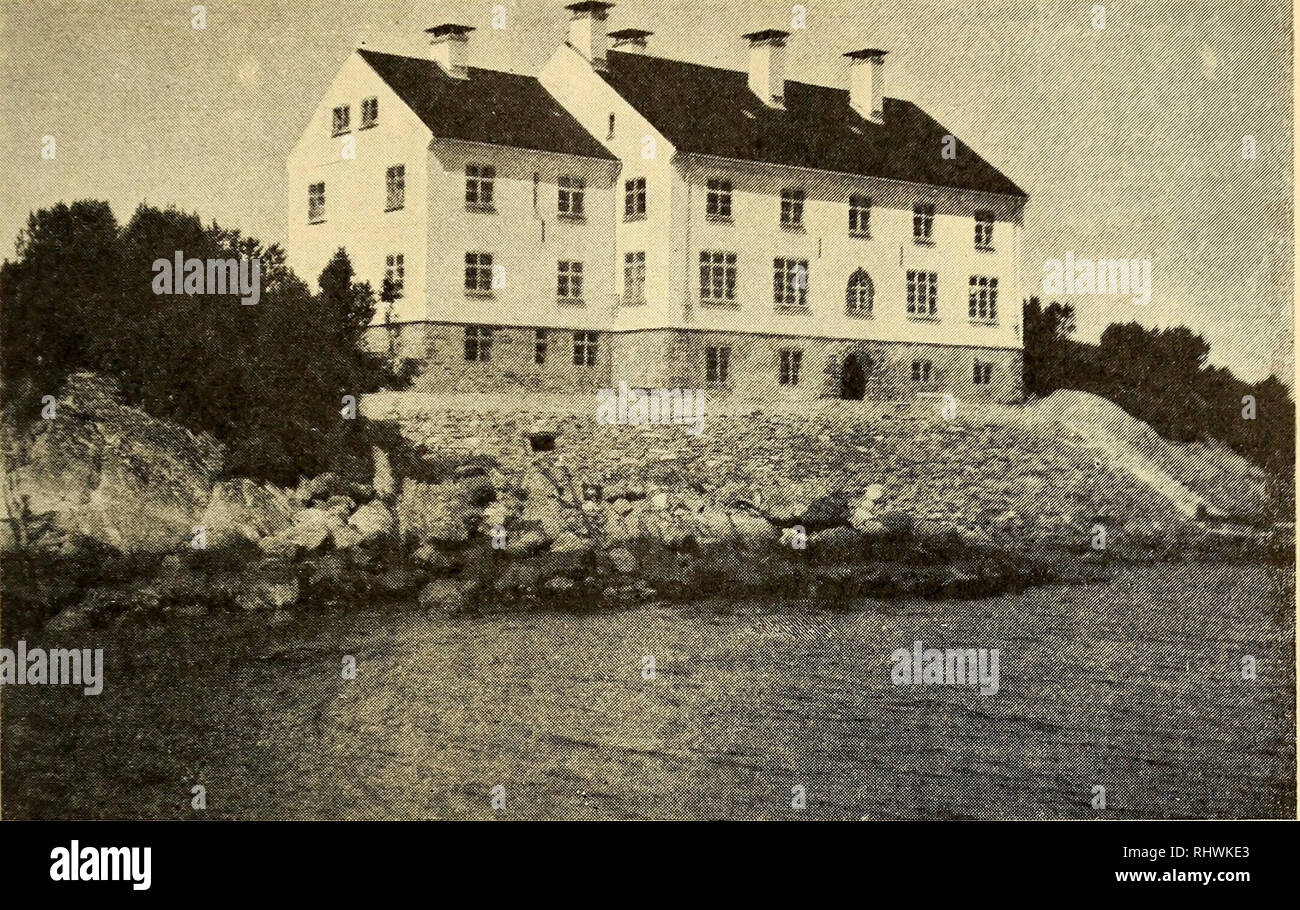 . 08 Bergens Musées aarbok. La science ; l'histoire naturelle. Fig. 1. Stationsgebåude das von dem Fjord aus gesehen. Vorgeschichte. Als das Museum 08 Bergens vor 100 Jahren wurde chauve errichtet. r, schon der Grunder der Institution, Stiftsamtmann Verståndnis Christie, das zu sehen, dass die biologische Meeresforschung eins der wichtigsten Arbeitsgebiete des musées werden wurde ; l'homme fing schon damals un, die jetzt ainsi soit- deutenden marinen Sammlungen von und zu bilden, Jahr zu Jahr wuchs die Forschung, getrieben marine von Månnern wie Danielssen, Olav Jensen, Fridtjov Nansen, Herman Friele und Appell Banque D'Images