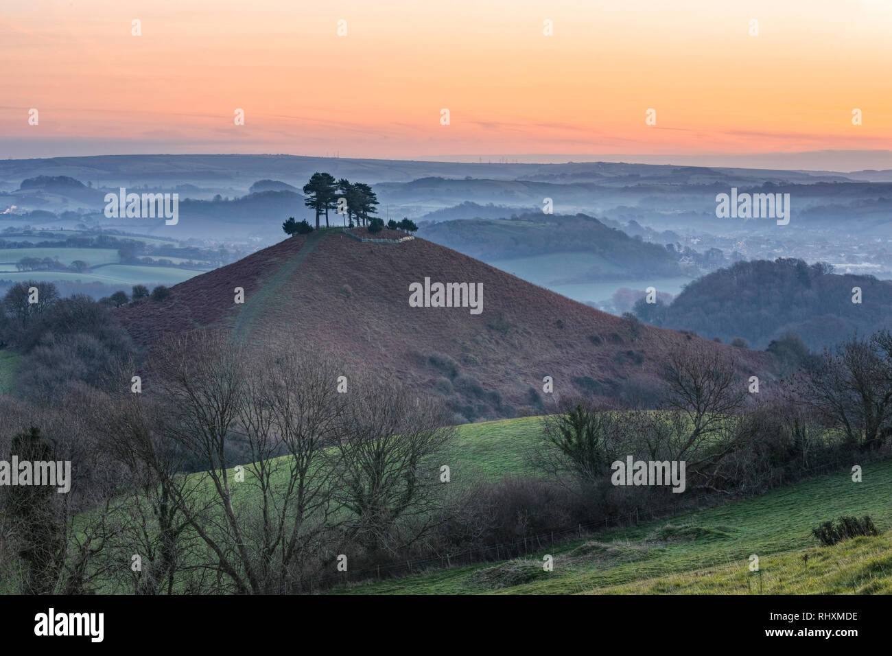 Colmers Hill, Symondsbury, Dorset, Angleterre, Royaume-Uni Banque D'Images