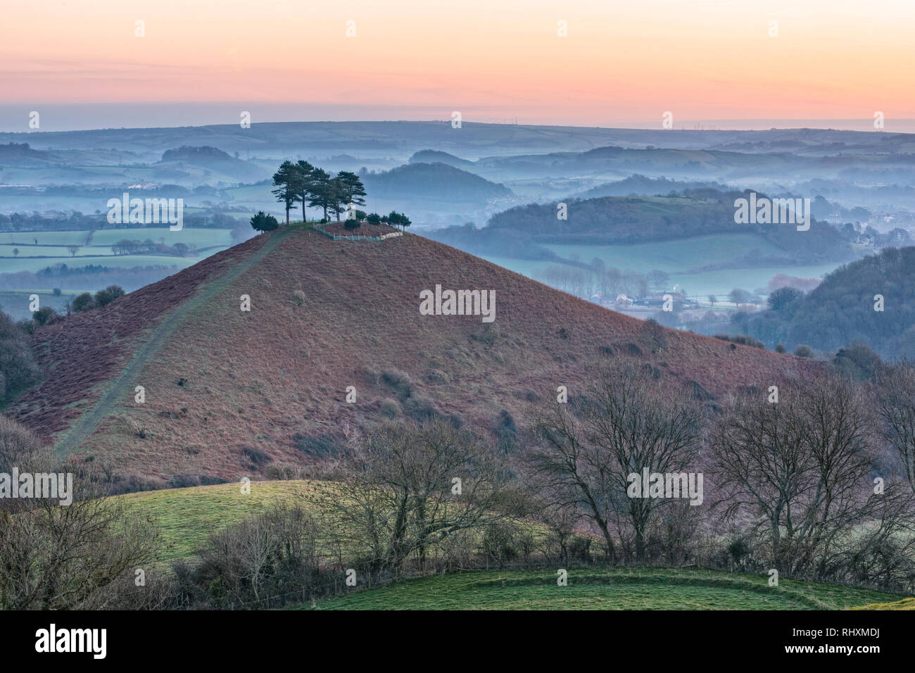 Colmers Hill, Symondsbury, Dorset, Angleterre, Royaume-Uni Banque D'Images