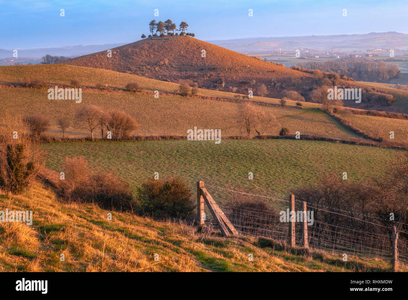 Colmers Hill, Symondsbury, Dorset, Angleterre, Royaume-Uni Banque D'Images