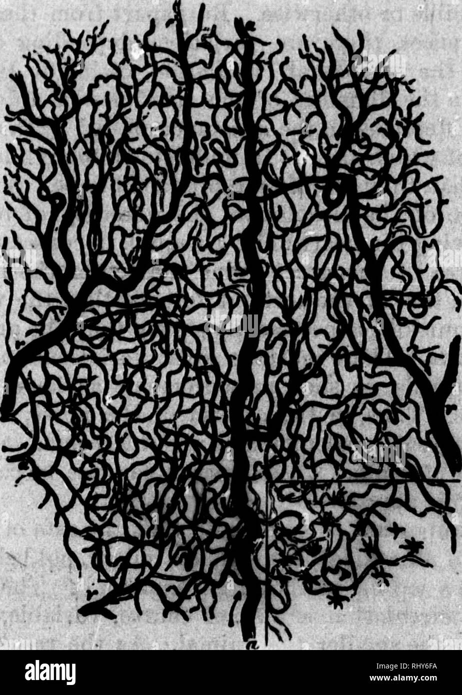 sous vétement homme