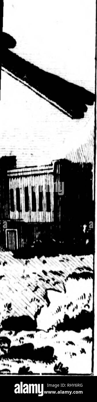 rencontre avec nicolas bruant