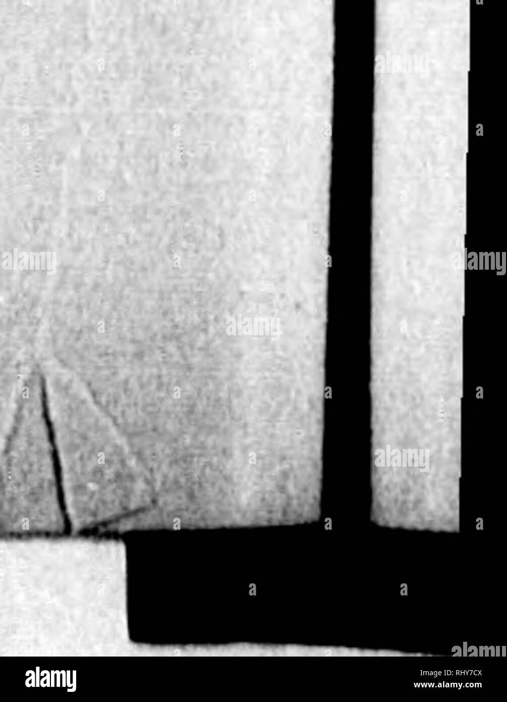 . Un texte-livre de physiologie comparée [microforme] : pour les étudiants et les praticiens de médecine vétérinaire (comparatif). La Physiologie, physiologie vétérinaire ; comparatifs ; physiologie comparée ; physiologie vétérinaire. . Veuillez noter que ces images sont extraites de la page numérisée des images qui peuvent avoir été retouchées numériquement pour plus de lisibilité - coloration et l'aspect de ces illustrations ne peut pas parfaitement ressembler à l'œuvre originale.. Mills, Wesley, 1847-1915. New York : D. Appleton ; Londres : Caxton House Banque D'Images