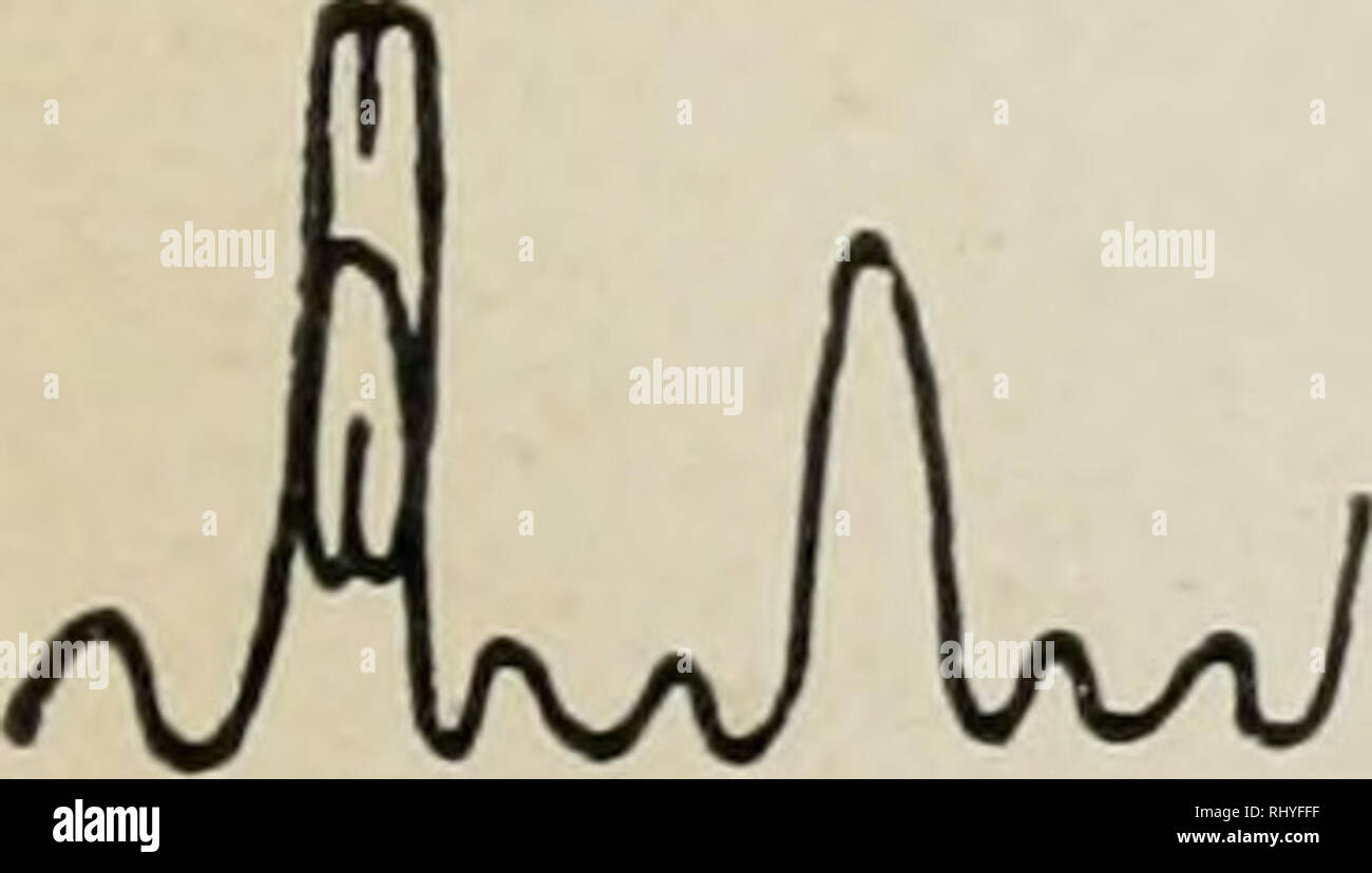 Beihefte Zum Botanischen Centralblatt Les Plantes Ff Ai N 1 Vkvyw Fe I 2 7 Oc I P Lt L L Fa V A 1 S S W Wyw V O 5 7 00 H B