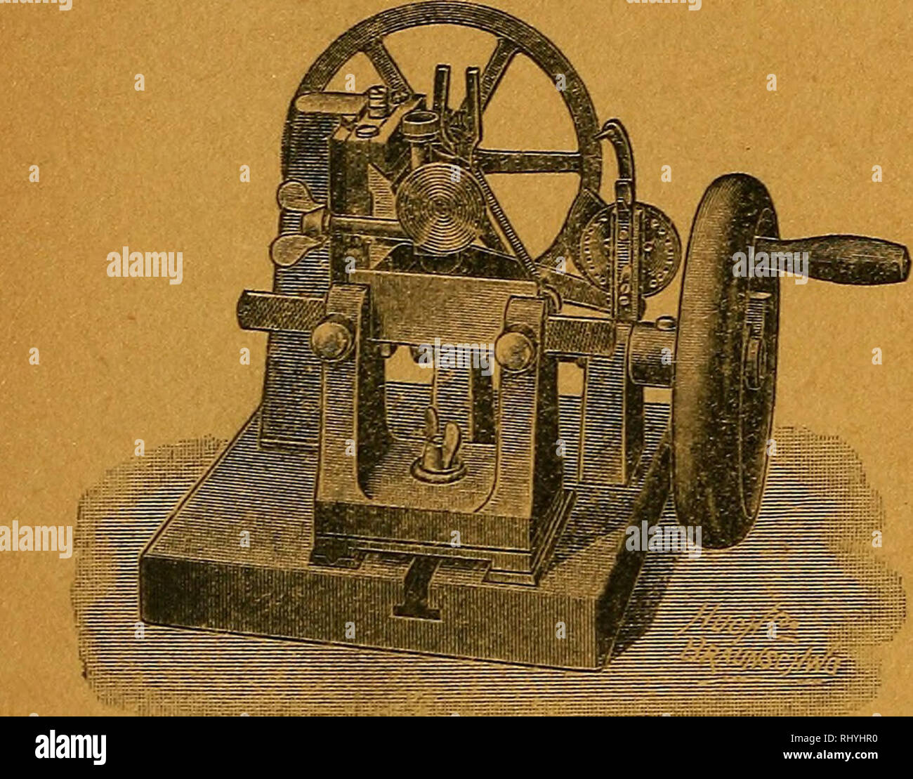 . Beihefte zum botanischen Centralblatt. Les plantes. E. Leitz, Optische Werke, Wetzlar. Berlin SW., 45 Luisenstraße. Frankfurt a. M., Kaiserstraße 64. / Saint-pétersbourg. Londres. New-York. Chicago.  ;'. Veuillez noter que ces images sont extraites de la page numérisée des images qui peuvent avoir été retouchées numériquement pour plus de lisibilité - coloration et l'aspect de ces illustrations ne peut pas parfaitement ressembler à l'œuvre originale.. Leipzig : Verlag von G. Thiem Banque D'Images