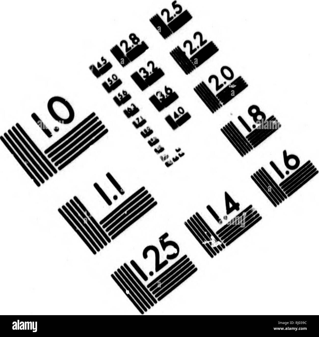 . Neue nordische Beyträge zur physikalischen und der geographischen und-Völcurbeschreibung, Naturgeschichte und Oekonomie [microform]. Voyages et voyages ; histoire naturelle ; voyages ; sciences naturelles. TEST D'ÉVALUATION D'IMAGE CIBLE (MT-3). Veuillez noter que ces images sont extraites de la page numérisée des images qui peuvent avoir été retouchées numériquement pour plus de lisibilité - coloration et l'aspect de ces illustrations ne peut pas parfaitement ressembler à l'œuvre originale.. Pallas, Peter Simon, 1741-1811. [Saint-pétersbourg] und Leipzig, Allemagne : Johann Bey Logan Zacharias Banque D'Images