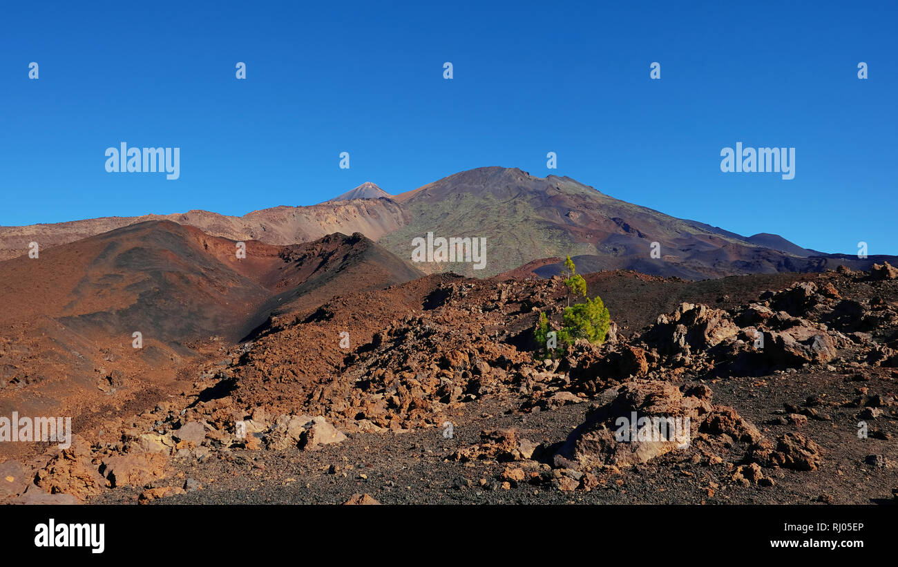 Montana Samara dans le Parc National du Teide, l'un des plus insolites de paysage volcanique avec vues vers Pico del Teide et Pico Viejo, Tenerife, Espagne Banque D'Images
