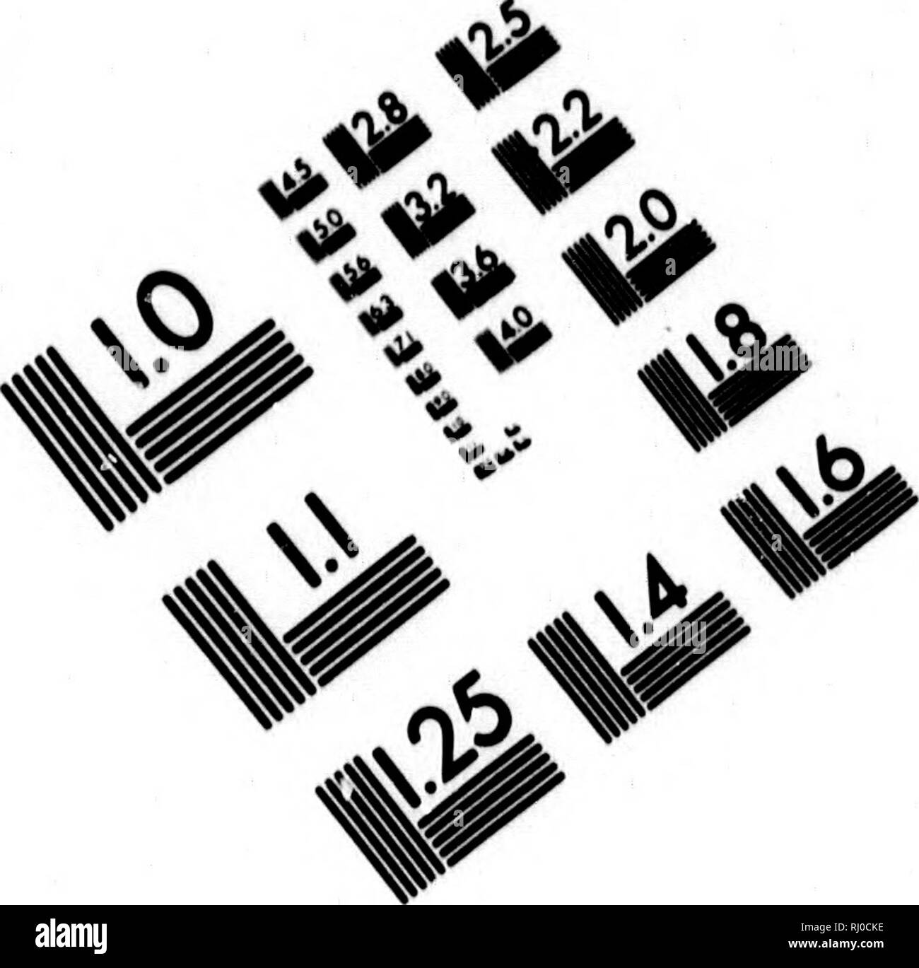 . Neue nordische Beyträge zur physikalischen und der geographischen und-Völcurbeschreibung, Naturgeschichte und Oekonomie [microform]. Voyages et voyages ; histoire naturelle ; voyages ; sciences naturelles. TEST D'ÉVALUATION D'IMAGE CIBLE (MT-3) k // // ^&gt ;. . ?* ^^ / 5r 4 4^^^ ; &Lt&Lt ; A ||JJ  • 11,25"". lä 140 U 11.6. Veuillez noter que ces images sont extraites de la page numérisée des images qui peuvent avoir été retouchées numériquement pour plus de lisibilité - coloration et l'aspect de ces illustrations ne peut pas parfaitement ressembler à l'œuvre originale.. Pallas, Peter Simon, 1741-1811. Saint-pétersbourg [und], Allemagne Banque D'Images