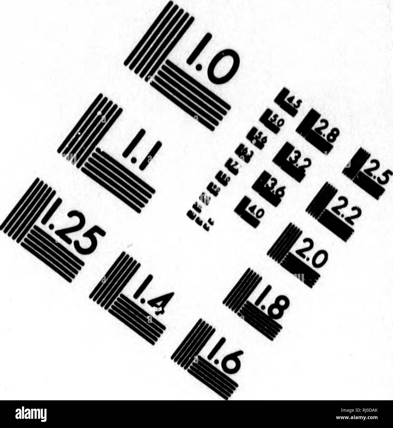 . Neue nordische Beyträge zur physikalischen und der geographischen und-Völcurbeschreibung, Naturgeschichte und Oekonomie [microform]. Voyages et voyages ; histoire naturelle ; voyages ; sciences naturelles. TEST D'ÉVALUATION D'IMAGE CIBLE (MT-3). 1,0 1,1 l^|28 läi üt nous ^ 12,0 112,2 li£ Imla m - j'-"^^ ^ 1' 6" ? ^ ^. Veuillez noter que ces images sont extraites de la page numérisée des images qui peuvent avoir été retouchées numériquement pour plus de lisibilité - coloration et l'aspect de ces illustrations ne peut pas parfaitement ressembler à l'œuvre originale.. Pallas, Peter Simon, 1741-1811. Saint-pétersbourg [und], Allemagne Banque D'Images