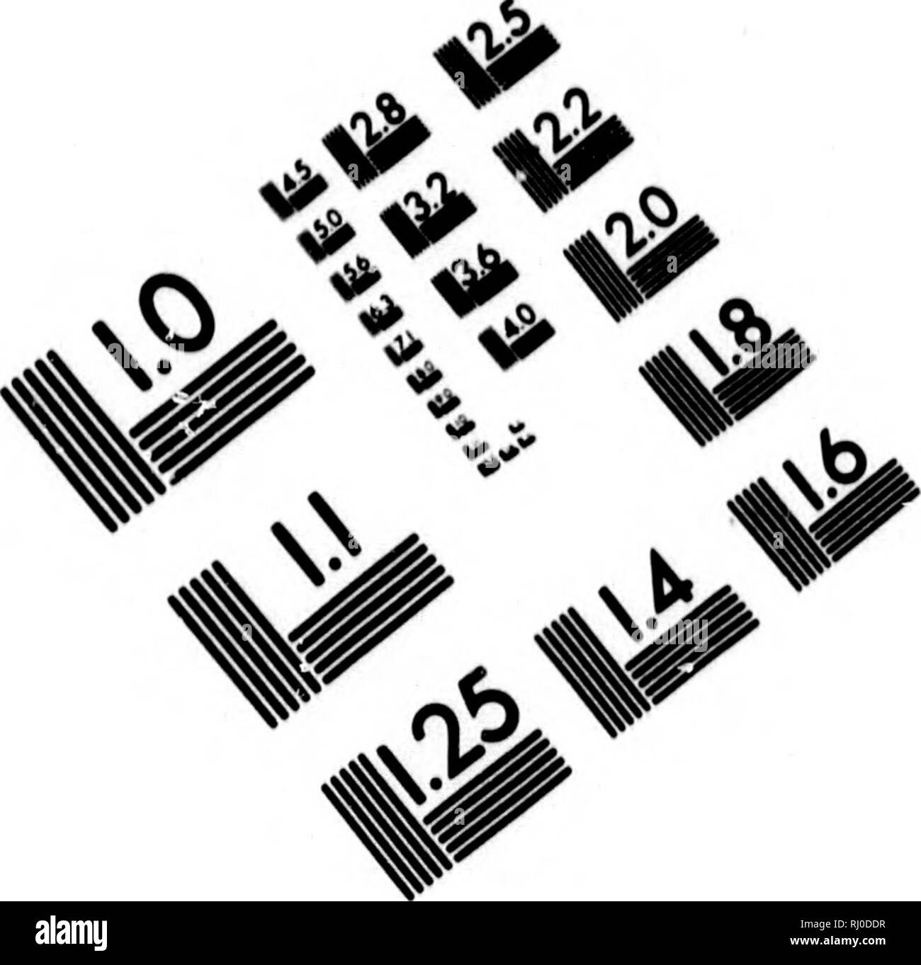 . Neue nordische Beyträge zur physikalischen und der geographischen und-Völcurbeschreibung, Naturgeschichte und Oekonomie [microform]. Voyages et voyages ; histoire naturelle ; voyages ; sciences naturelles. TEST D'ÉVALUATION D'IMAGE CIBLE (MT-3). Veuillez noter que ces images sont extraites de la page numérisée des images qui peuvent avoir été retouchées numériquement pour plus de lisibilité - coloration et l'aspect de ces illustrations ne peut pas parfaitement ressembler à l'œuvre originale.. Pallas, Peter Simon, 1741-1811. [Saint-pétersbourg] und Leipzig, Allemagne : Johann Bey Logan Zacharias Banque D'Images