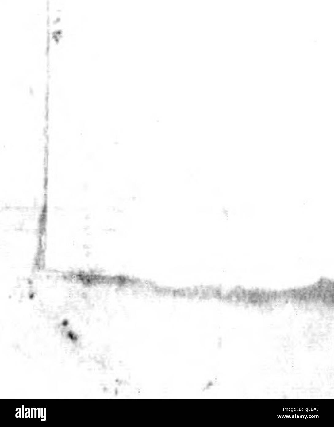 . BeytrÃ¤Neue nordische ge zur physikalischen-und der geographischen und¶lcurbeschreibung vía, Naturgeschichte und Oekonomie [microform]. Voyages et voyages ; histoire naturelle ; voyages ; sciences naturelles. XT. JÃA J7.'i&r&gt;gt ;/ /l4/'7Â"Â"'' .Â",5l^. - .U.v^^j'^^^^,e ;-^ â â. Veuillez noter que ces images sont extraites de la page numérisée des images qui peuvent avoir été retouchées numériquement pour plus de lisibilité - coloration et l'aspect de ces illustrations ne peut pas parfaitement ressembler à l'œuvre originale.. Pallas, Peter Simon, 1741-1811. [Saint-pétersbourg] und Leipzig, Allemagne : Johann Bey Logan Zacharias Banque D'Images