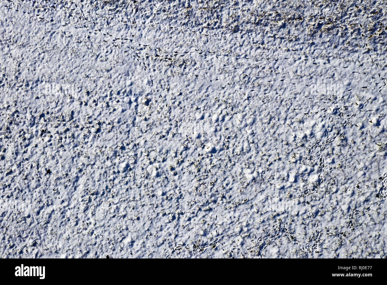 La texture blanche de neige sur terrain, vue de dessus, l'arrière-plan pour l'hiver Banque D'Images
