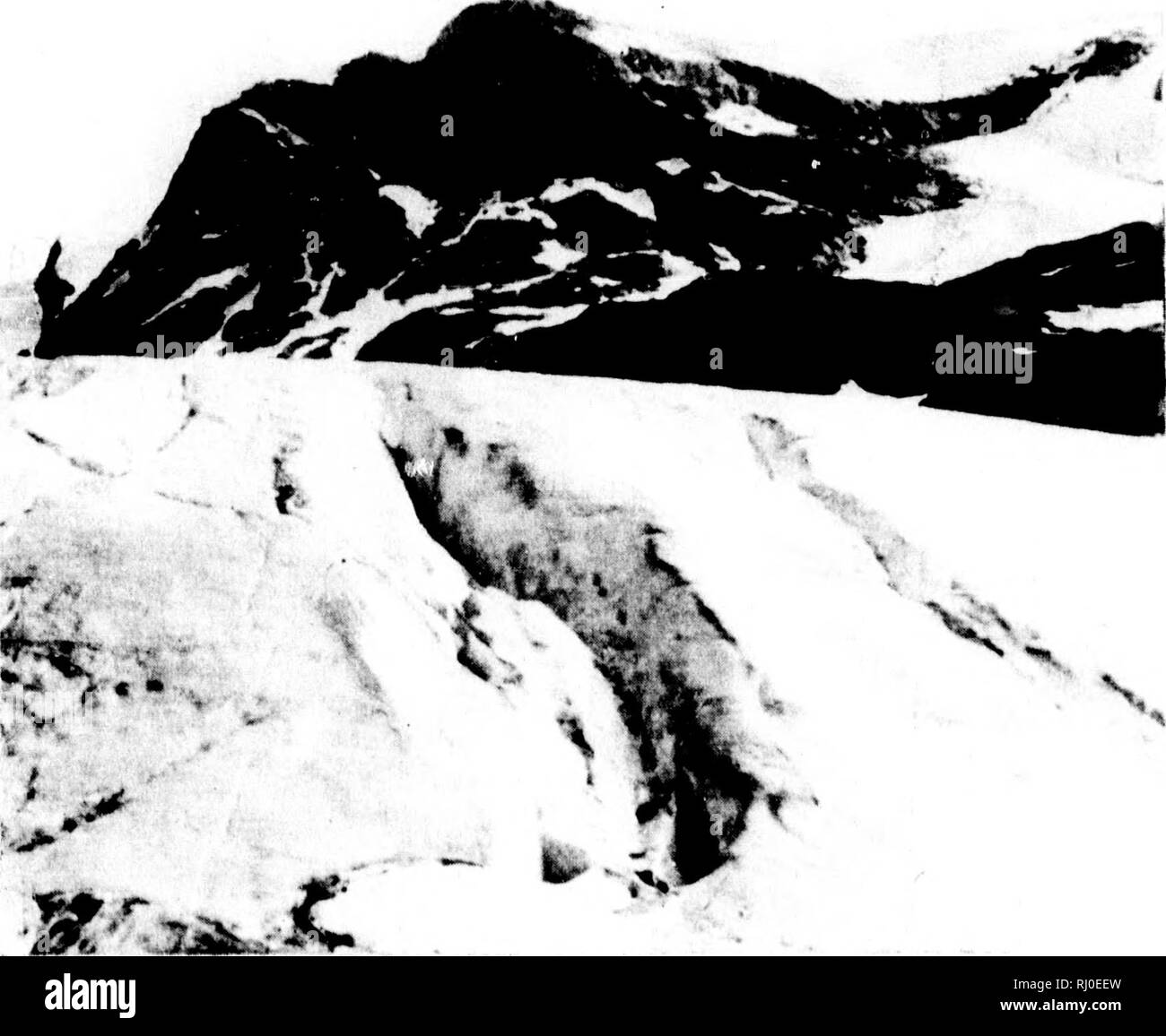 . La dernière croisière du Miranda [microforme] : un enregistrement d'aventure arctique. Miranda (navire) ; Miranda (Ship) ; natural history ; Inuit ; sciences naturelles ; Inuit. ri 72 LA DERNIÈRE DE L'CRriSE. MTRAXDA lieavily ing, mais iiwakeiied^ a par le bruit du navire en mouvement. De mon port - liole je pourrais voir tout à fait une flotte de kayaks à propos de nous, wliicli a couru le long de, suivre le rythme avec le navire. Une haute mer était en marche, et les petits bateaux serait parfois être caché de la vue dans l'auge, mais seulement d'augmenter il m. CREVASSE. encore dans un instant sur la crête d'une vague, sur laquelle ils auraient cadrer comme un tob Banque D'Images