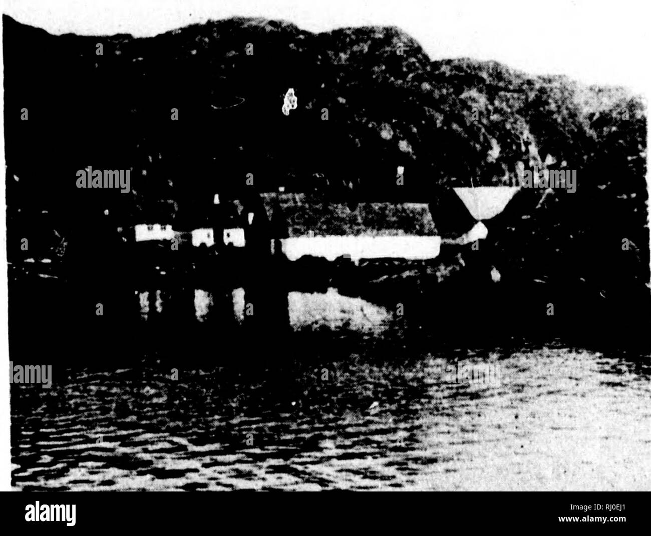 . La dernière croisière du Miranda [microforme] : un enregistrement d'aventure arctique. Miranda (navire) ; Miranda (Ship) ; natural history ; Inuit ; sciences naturelles ; les Inuits.  !.F 'J' â â } »¬ ill' 58 LA DERNIÈRE DE TITE. MTRAXDA mUTSE à i)e Sukkertoppen (Siiirtir-miche). Un Esquimau settlenieiit liundred d'environ quatre personnes, dirigée par gouverneur liistru} liaumann) et sous-gouverneur. Dès que le navire a jeté l'ancre nous avons été entourés par une feuille de kayaks et oomiaksâ ou bateau de la femme. Il ne fallut pas longtemps avant que plusieurs de nos bateaux ont été réduits chez les pour nous, roman Heet, a n d o e o ere bientôt sur la rive. Ici Banque D'Images