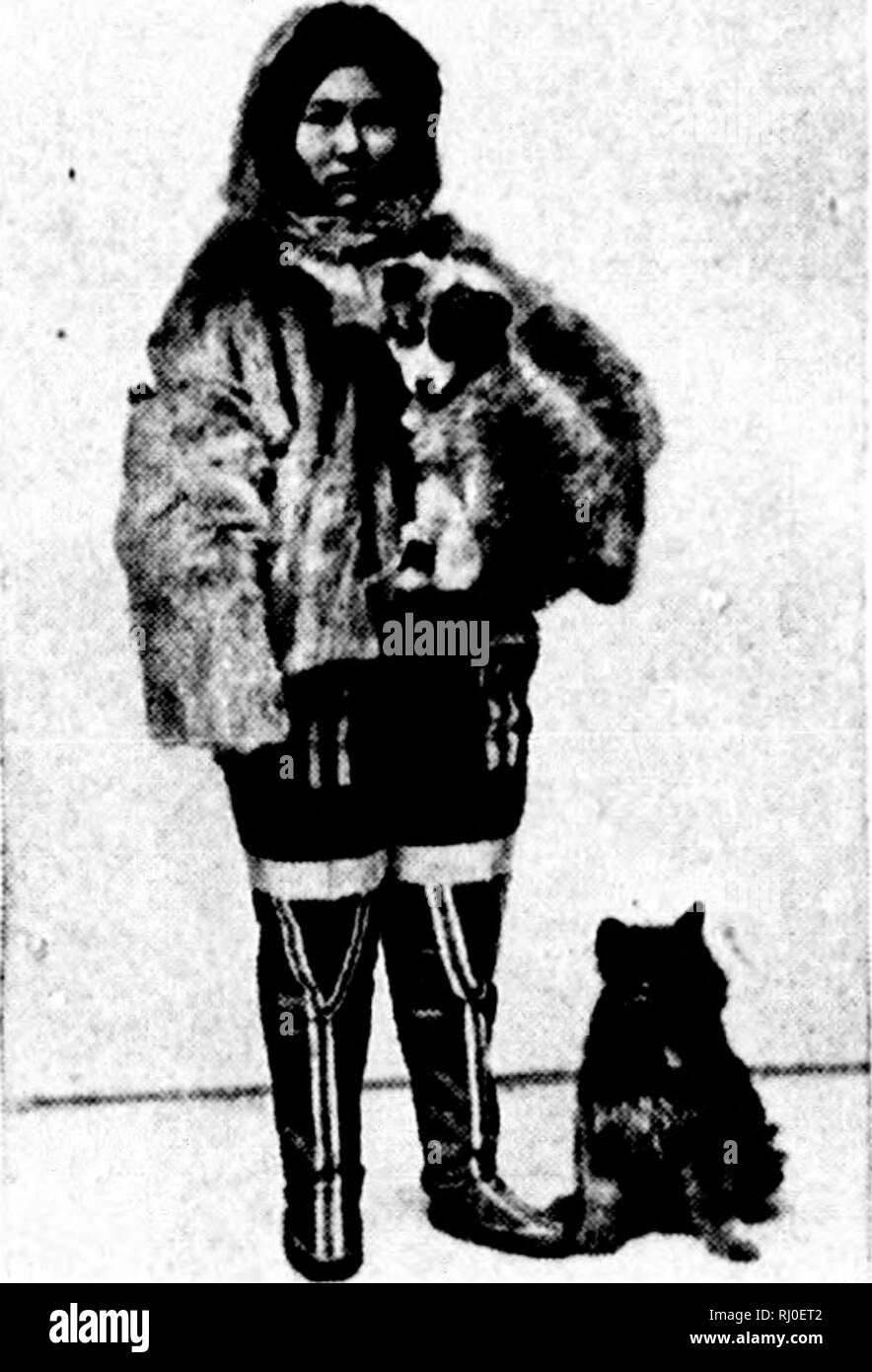 . La dernière croisière du Miranda [microforme] : un enregistrement d'aventure arctique. Miranda (navire) ; Miranda (Ship) ; natural history ; Inuit ; sciences naturelles ; les Inuits. CIIAITEK II. Â ^ .. Â "''TW.n c'était tôt dans l'après-midi de juillet que nous avons cuit lentement dans le harhor de Cape Charles, sur la sombre eoast du Labrador. Des collines stériles haut rose tout autour de nous, sans moyens d'veufeta- tion pour la plupart, sauf que ici anulation de Cape Charles, l)arce que la population se compose d'oidy une demi-douzaine de familles, certains augmentée- ce que dans l'tishing bv saison quelques pêcheurs de Terre-Neuve. Banque D'Images