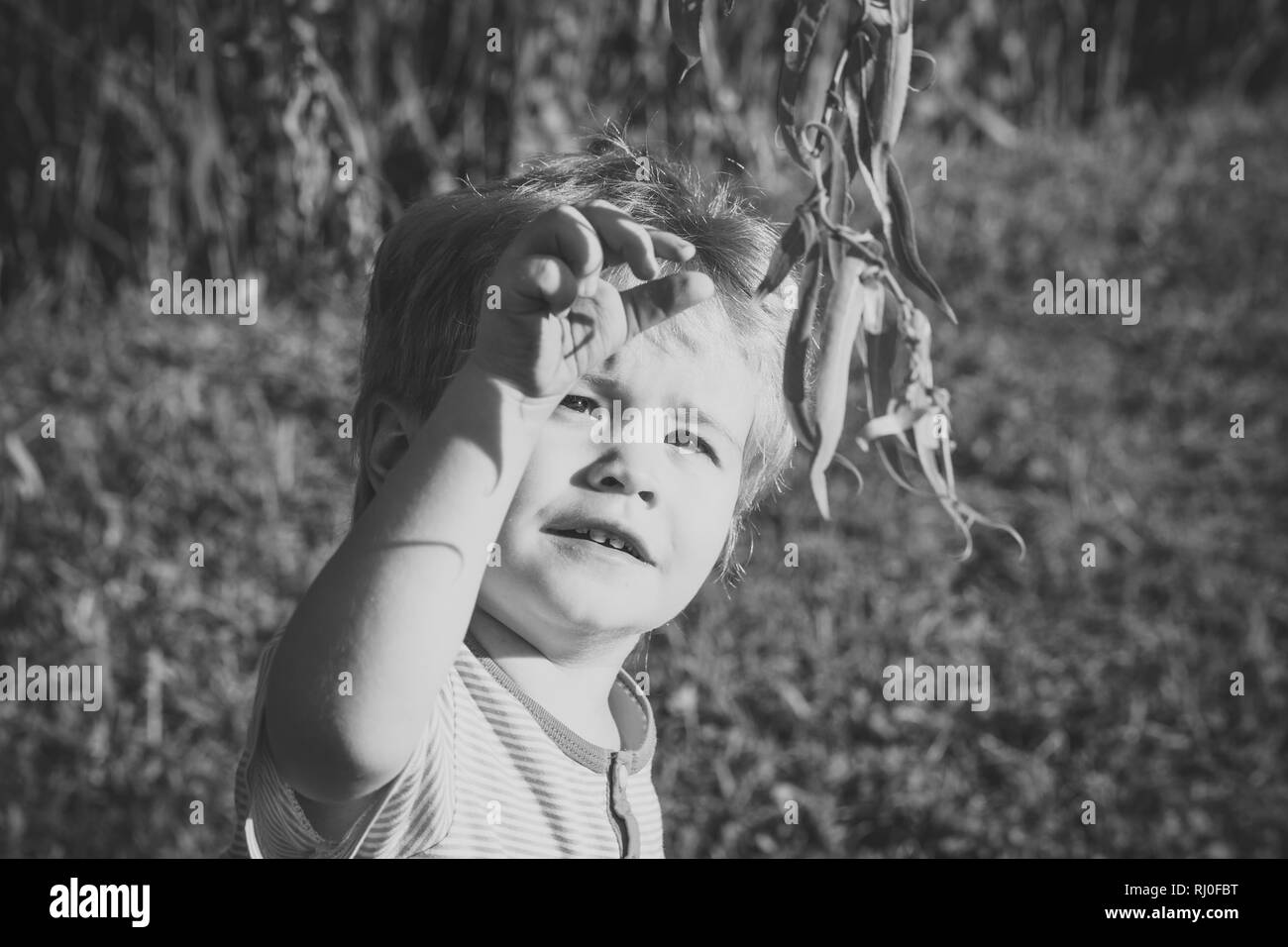 Petit garçon regarde les feuilles vert printemps, arbres Banque D'Images