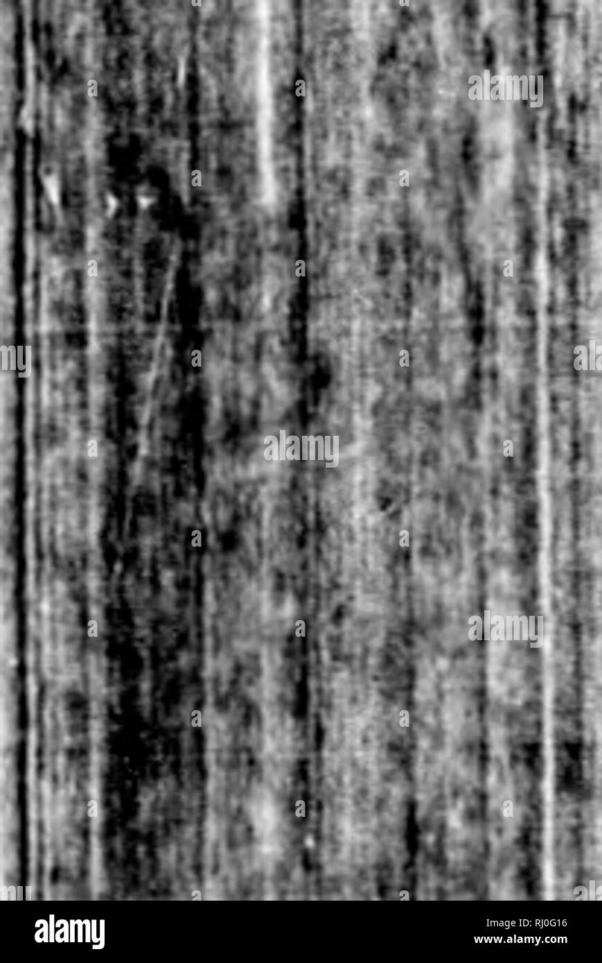 . Un voyage autour du monde dans les années 1785, 1786, 1787 et 1788 [microforme]. Boussole (frégate) ; Astrolabe (frégate) ; Boussole (Fréchette©gate), l'Astrolabe (Fréchette©gate) ; voyages à travers le monde ; les expéditions scientifiques ; voyages autour du monde ; ExpÃ©ditions scientifiques. t si 11* : ' A' â 218 le voyage de LA PEROUSE, conformément à la mer qui pofition Cook's troisième f^jo/agc leur a donné sur le tableau général, c'est à Fay, Ma ?fevee ?i, l'mofl au nord de la deux illands, à 40 degrés et demi de quatrième latitude et à deux degrés et les trois quarts de l'caftward du méridien de l'Île du rendez-vous Banque D'Images