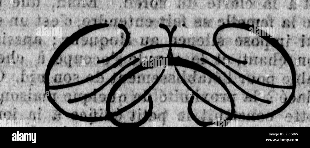 . Général du Canada [microforme] : d'aprÃ¨s la nomenclature combinée de Baird. Oiseaux, ornithologie, les oiseaux, l'ornithologie. Â Â 102 bdlÃ©flÃ©irV oi Ã"Â"^pf nf Ã ses o^Ã©Â", sur prie avec lai lorsqu'Ã la fin dSine fatiguante jonrnÃ©e dans los patron| 11 adresse adÃ©ctnensement SnprÃ¨Ã PEtre moi remeroieuents ovand ses, les aocents mÃ©lodieux du Moqueur ou du Merle viennent disdper latioolie la profonde ttÃ©oui. Paooablait L'illustrÃ© Qualid Buffon est Ã©tÃ© la partie omitliologiqve de fils, il nnnonÃ oUfrage grand§^fcvso ^une assuranoe comme moven d'ajouter matÃ©rielle- 'Ã®pent Ã cettd Hste,^ ^tiellÃ¨iy e Banque D'Images