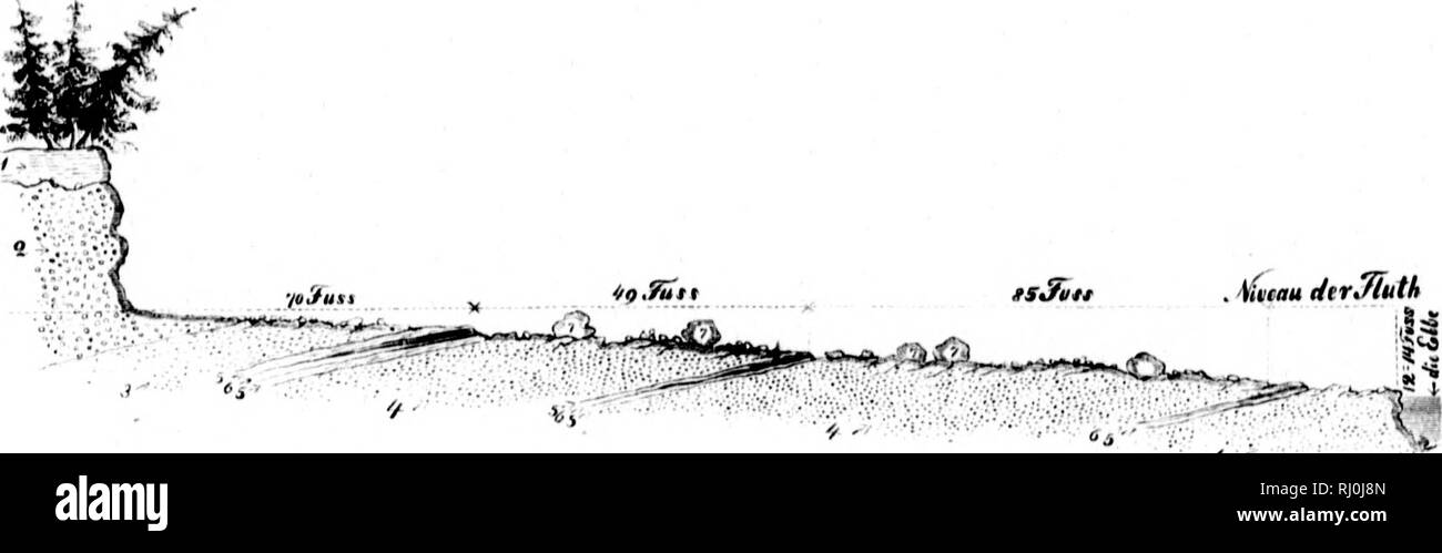 . Flora fossilis Alaskana [microform]  = flore fossile von Alaska. La paléobotanique ; PalÃ©obotanique. 08WAM), IIKER. ''Â #  ::A,an ; Nach ciiu r'riitcr.siit;hiing des Dr F. A.) entliillt Gknth * die Kohle von Sitkii : Wasser C),725 pr. Ch. FliichtiÂ » ^'. Un Hostiuultheilo.'i.KIH Â" lÃ¼.lile 45 772 Â" A.schc 3,,']Â" 85 100 pr. 0. Kolik' Dil" ciitliiilt mir O.IH pr. C. Schwefel. Die Asehe brauru hat eine gelblich ! Farbe. eisciilialtiir rciigirt idkiiiiscli und ist. Die JE*fliiii gruiiseliu des iie/ar/en Schiel'ers gehÃ¼ren. dans la mesure où sieh dieses aus den weuii zalilreielien StÃ¼cken ;' der ' uiiniliing beur Banque D'Images