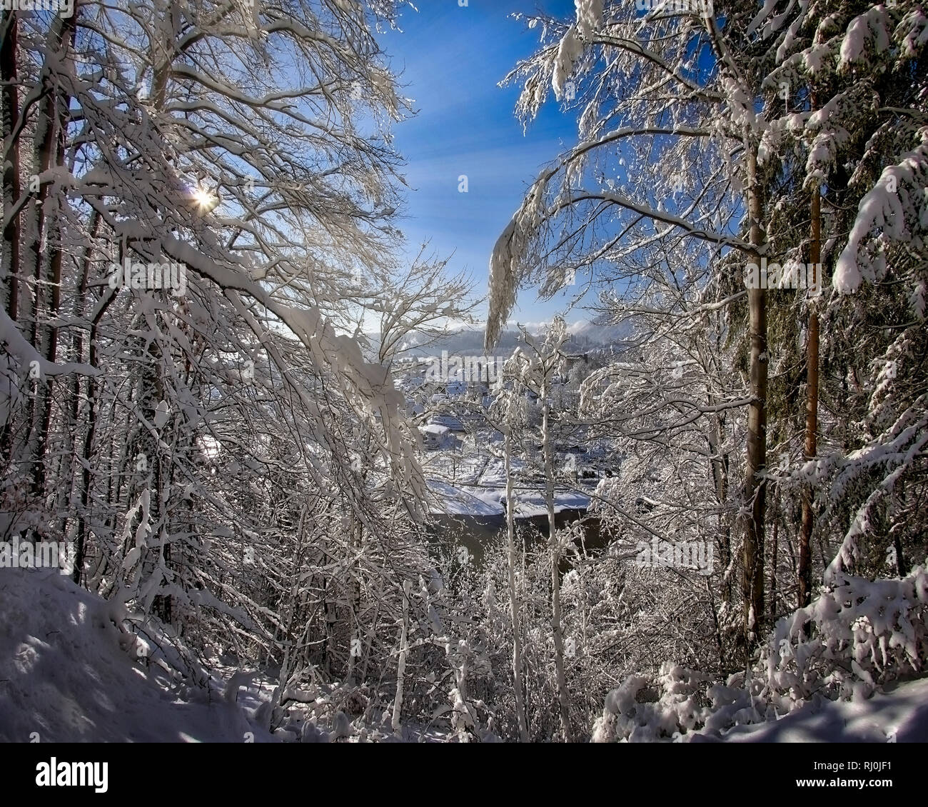 DE - BAVARIA : forêts d'hiver le long de la rivière Isar, à Bad Toelz (image HDR) Banque D'Images