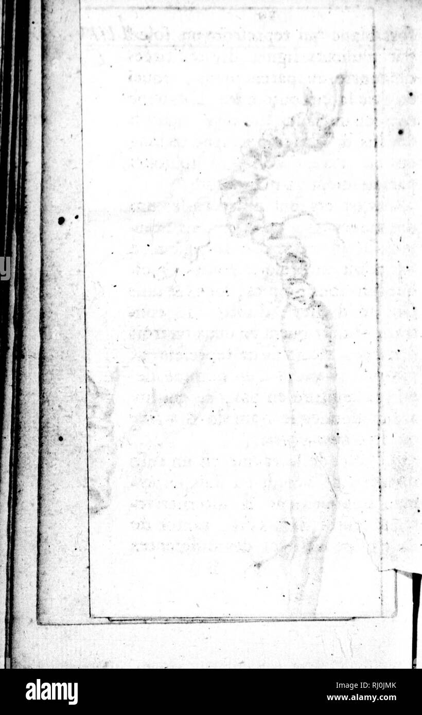 . Mémoire présenté à Son Altesse royale Monseigneur le Duc d'Orléans, régent du royaume de France [microforme] : concernant la précieuse plante du gin-seng de la Tartarie, découverte en Canada par le P. Joseph François Lafitau, de la Compagnie de Jésus, missionnaire des Iroqouis du Sault Saint Louis. Ginseng Le Ginseng ; botanique ;, la botanique. . Veuillez noter que ces images sont extraites de la page numérisée des images qui peuvent avoir été retouchées numériquement pour plus de lisibilité - coloration et l'aspect de ces illustrations ne peut pas parfaitement ressembler à l'œuvre originale.. Lafitau, Joseph François, 1681-1746 ; Orlé Banque D'Images