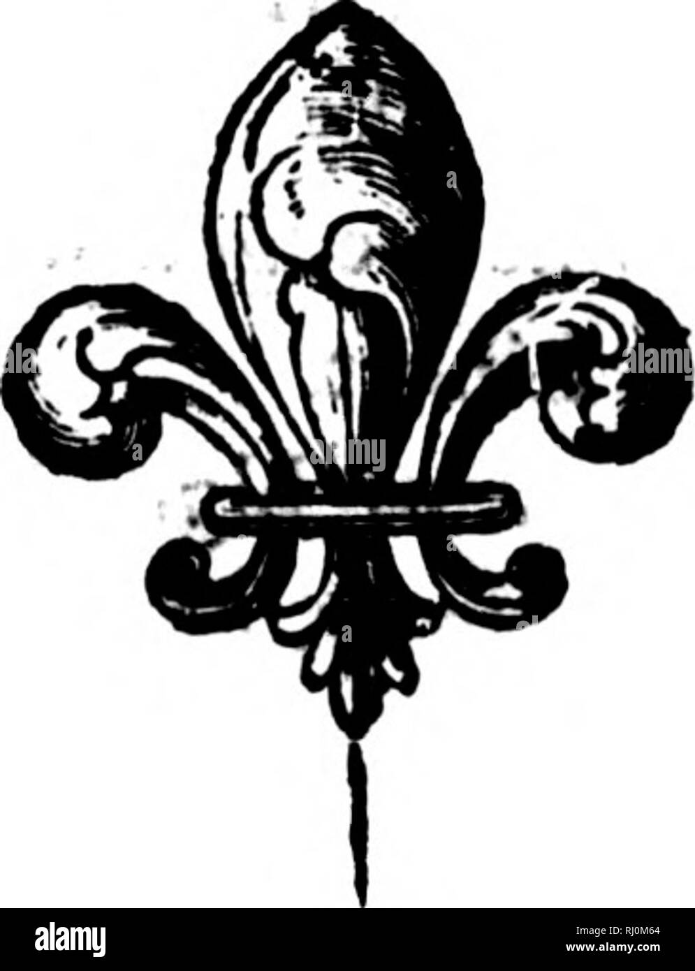 . Zoologie arctique [microform]. Les oiseaux sauvages, oiseaux. Sizerin flammé, moindre et de l'ARCTIQUE FINCH. 379 S. Zael. i. N" 138.âW. Tran/. Ixii. 40J. 26*. Liism Orafiflca, FaÂ"Â". Swf. N"24i. Rbdkoll. LeSizerin DtBufftn,, iv. 216.âP/. Â€Â"/. 151. l*-'Latham, ii, 305.-Â"Liv. Mvs.âBl. Mu8. 'F ? Avec une croix rouge sur le front fpot : pain de la renommée couleur : *Â Â Â ¢ duflcy, bordées de brun rufty : caudales brun, avec deux barres de tranfverfe de blanc. Hud habite/bn's Bay, et probablement d'autres parties de l'Amérique : alfo Placi. Greenlandt où il arrive en avril, et quitte le pays à l'automne. Se trouve en Suède, est feen Banque D'Images