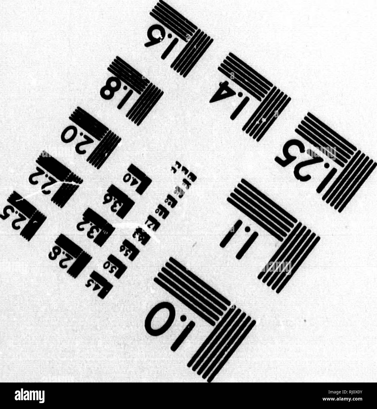 . La découverte et l'aventure dans les mers polaires et les régions [microform]. Franklin, John, Sir, 1786-1847 ; Franklin, John, Sir, 1786-1847 ; Passage du Nord-Ouest ; ; histoire naturelle, Passage du Nord-Ouest ; sciences naturelles. 4^ J'Ui(|J£ 125 I.I y,|^ ^ 22 â Lâ€ 12.0 iJ&amp ; ||i:25|||,4,..6 ^ 6" âº. Société Sdences photographique 23, rue Main Ouest, WiBSTIR.N.Y. 145S0 (716)Â"72-4S03 ^ iV â¢s^ 4 k k. Veuillez noter que ces images sont extraites de la page numérisée des images qui peuvent avoir été retouchées numériquement pour plus de lisibilité - coloration et l'aspect de ces illustrations ne peut pas parfaitement resemb Banque D'Images