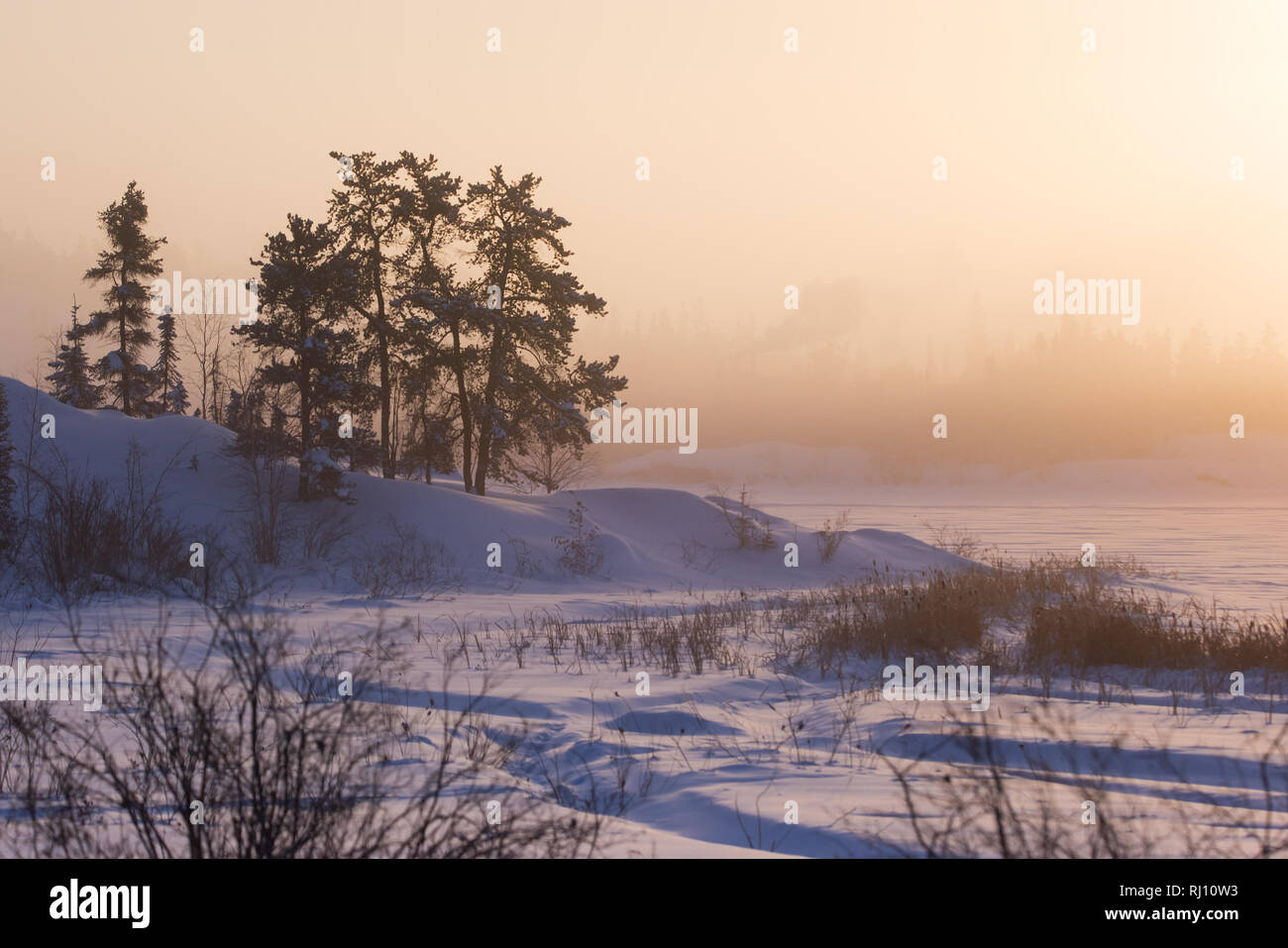 Un froid soleil sur lac Frame à Yellowknife, Territoires du Nord-Ouest, Canada. Banque D'Images