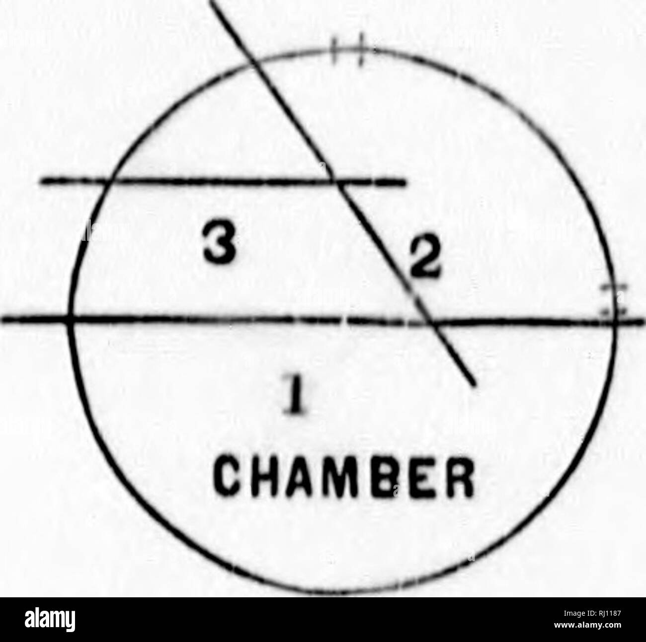 Le Castor Americain Et Ses œuvres Microform Les Castors Roulettes 152 Hfaver Tiik Americain I I I V J A Amp A I V I 1 4 Gt Fio