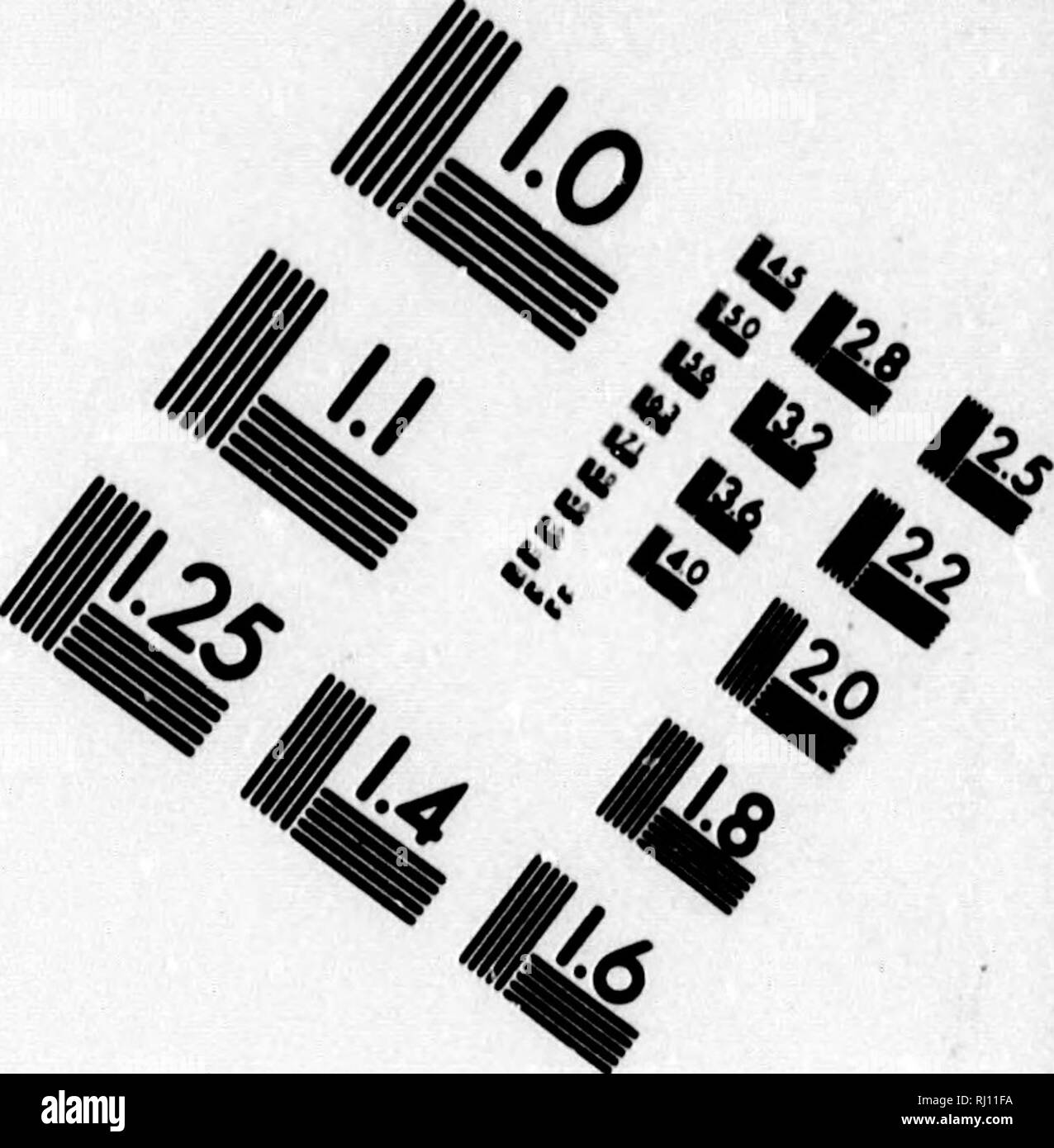 . Le castor américain et ses œuvres [microform]. Les castors ; Roulettes. ^, TEST D'ÉVALUATION DE L'image cible (MT-3). 1.0 1.1 l£i|28 |25 |Uii lU lU 2,2 1^ 1 AJO '2 ! 1" ^ ^ 6 ^^" - 0 7 '^^^ ^ ?'.^• ^. Veuillez noter que ces images sont extraites de la page numérisée des images qui peuvent avoir été retouchées numériquement pour plus de lisibilité - coloration et l'aspect de ces illustrations ne peut pas parfaitement ressembler à l'œuvre originale.. Morgan, Lewis H. Lewis (Henry), 1818-1881. Philadelphia : J. B. Lippincott Banque D'Images