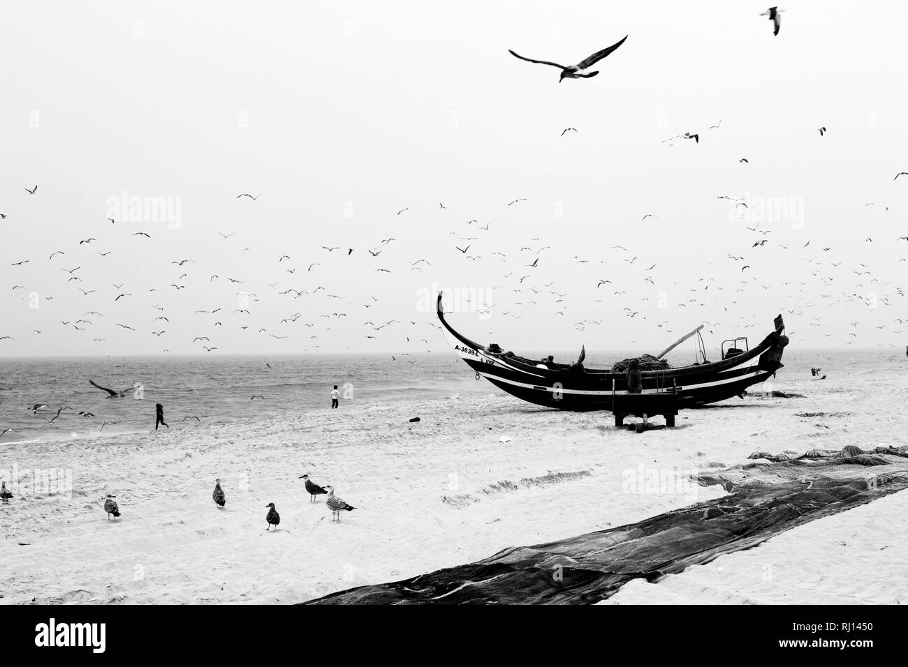 Plage en noir et blanc. Mouettes et bateau de pêche. Banque D'Images