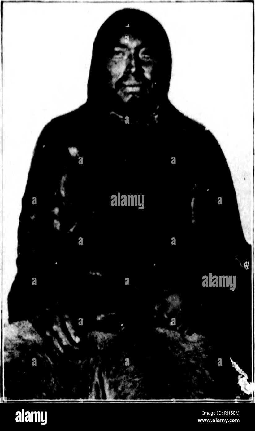 . Vers le nord au "great ice" [microforme] : un récit de vie et de travail le long des rives et à l'intérieur de la banquise du Groenland du nord dans les années 1886 et 1891-1897 : avec une description de la petite tribu d'Smith-Sound les Esquimaux, le plus septentrional des êtres humains dans le monde, et d'un compte de la découverte et de la ramener à la maison Saviksue » » ou grand Cape-York météorites. Expéditions scientifiques, Expéditions scientifiques. ( Vers le nord) le " cr " glace Circat M 111 I &Lt ; ! / I ! Ul ri'ci'bivcd tb.c (.'nclL'ariiiL ; nom de " sain-) ("lampe.&quo Banque D'Images