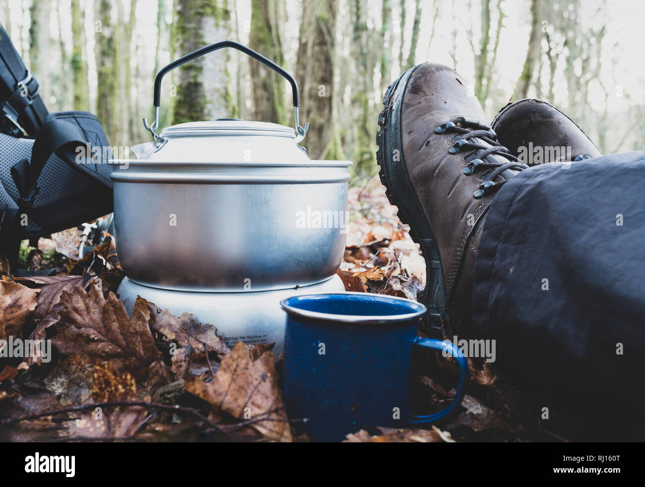 Un homme assis dans les bois. Banque D'Images