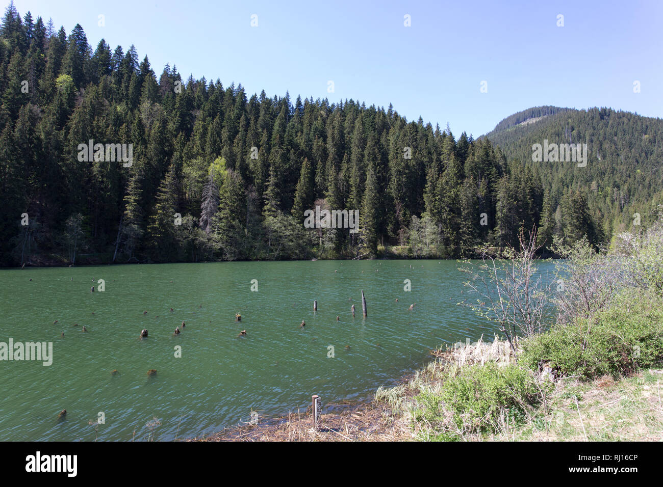 Le célèbre Red Lake en Roumanie Banque D'Images
