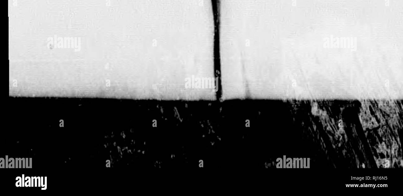 . Voyage vers les rivages de la mer polaire, en 1819-1820,-21-22 [microforme] : avec un bref compte rendu de la deuxième voyage en 1825-1826-27. Expéditions scientifiques, Expéditions scientifiques. De l'AEP. Tf 249 ? Matériaux fer pour eux ; et embat roi sans délai, prêt à revenir sur nos pas.* Nos hommes, encouragés par la perspective de retourner, a montré la plus grande rapidité ; et, une pataugeoire avec une vigueur inhabituelle, nous portaient à travers Riley et Walker 1898-1933, une dis- tance de vingt milles, avant midi, quand nous avons débarqué sur Slate-Clay Point, comme le vent avait un brin trop pour nous permettre de continuer le voyage. Banque D'Images
