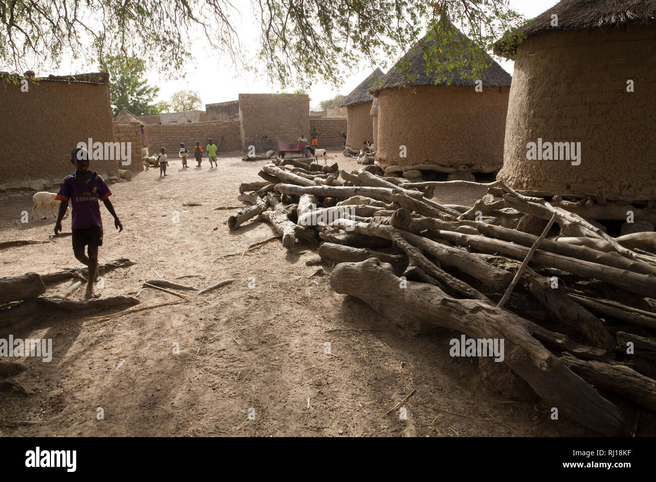 Village de samba, Province de Yako, Burkina Faso : Village La vie quotidienne à côté de Collette Guiguemde's compound. Banque D'Images