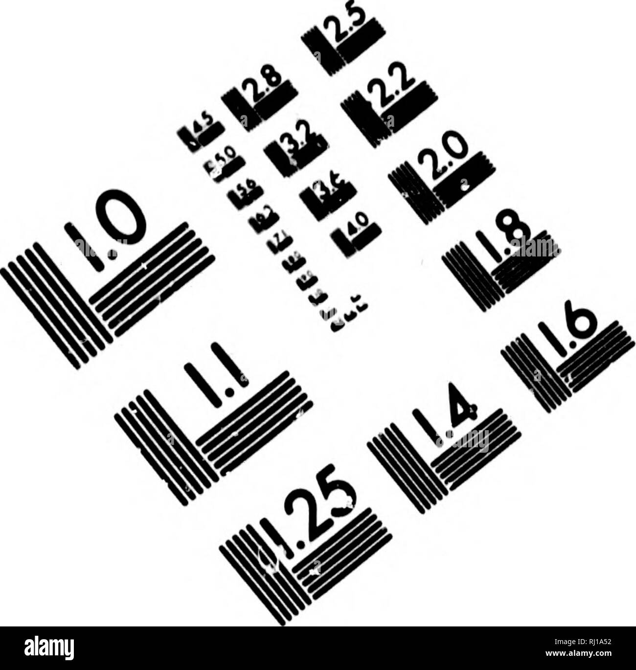 . Une introduction à la zoologie [microforme] : pour l'utilisation de hautes écoles. Zoologie Zoologie ;. TEST D'ÉVALUATION D'IMAGE CIBLE (MTS). Veuillez noter que ces images sont extraites de la page numérisée des images qui peuvent avoir été retouchées numériquement pour plus de lisibilité - coloration et l'aspect de ces illustrations ne peut pas parfaitement ressembler à l'œuvre originale.. Wright, R. Ramsay (Robert Ramsay), 1852-1933. Toronto : Copp, Clark Banque D'Images