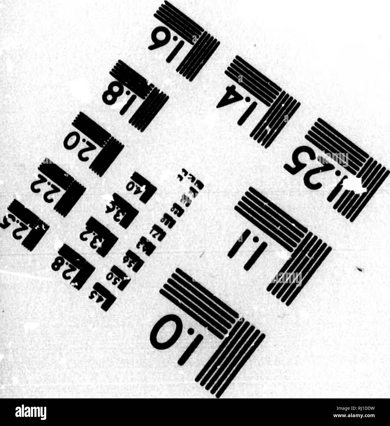 . Manuel de l'mosses of North America [microform]. Mousses ; les mousses. TEST D'ÉVALUATION D'IMAGE CIBLE (MT-3) "ks .0 4 .m '^ .&gt ; ^^ ^* H 1,0 1,1 1,25 125 Je liilM â 10 â ¢" WtWt ^m m 22 J'hS. 12,0 11,6 U. HiotogFaphic Sdmces CorpcHBtion. Veuillez noter que ces images sont extraites de la page numérisée des images qui peuvent avoir été retouchées numériquement pour plus de lisibilité - coloration et l'aspect de ces illustrations ne peut pas parfaitement ressembler à l'œuvre originale.. Lesquereux, Leo, 1806-1889 ; James, Thomas P. (Thomas Potts), 1803-1882. Boston : Bradlee Whidden Banque D'Images