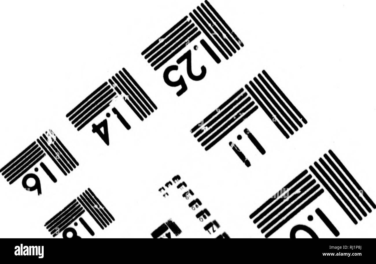 . Récit d'un voyage autour du monde [microforme] : effectuée dans le navire de Sa Majesté, de soufre pendant les années 1836-1842, y compris les détails des opérations navales en Chine, du 31 novembre 1841 à 1840 . Soufre (navire) ; Soufre (Ship) ; voyages autour du monde ; Phytogéographie ; voyages autour du monde ; Phytogéographi. /#  Phot^phic Sciences Corporation. 23, rue Main Ouest WEBSTER,NEW YORK. US8Q (716) 872-4503 sv. Veuillez noter que ces images sont extraites de la page numérisée des images qui peuvent avoir été retouchées numériquement pour plus de lisibilité - coloration et l'aspect de ces illustrations ne peut pas perfe Banque D'Images