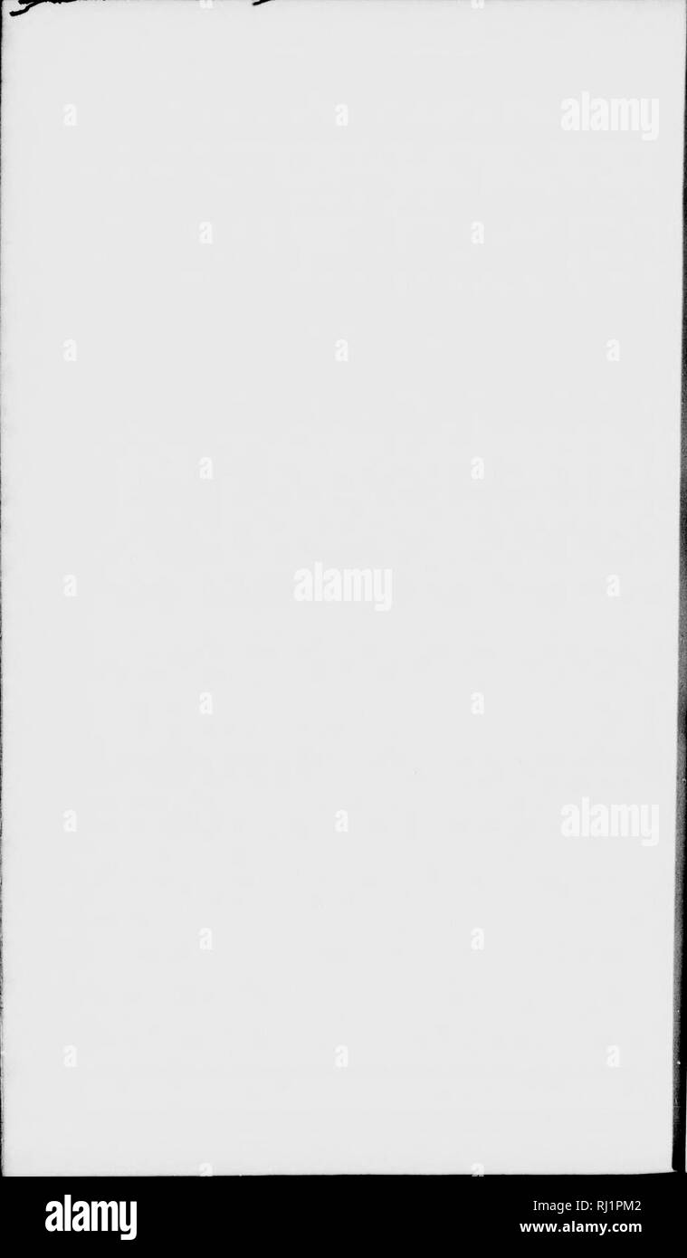 . Le lac Supérieur [microforme] : son caractère physique, de la végétation et les animaux, comparés à ceux d'autres régions semblables et . Histoire naturelle ; sciences naturelles. . Veuillez noter que ces images sont extraites de la page numérisée des images qui peuvent avoir été retouchées numériquement pour plus de lisibilité - coloration et l'aspect de ces illustrations ne peut pas parfaitement ressembler à l'œuvre originale.. Agassiz, Louis, 1807-1873 ; es. Boston : Gould, Kendall et Lincoln Banque D'Images