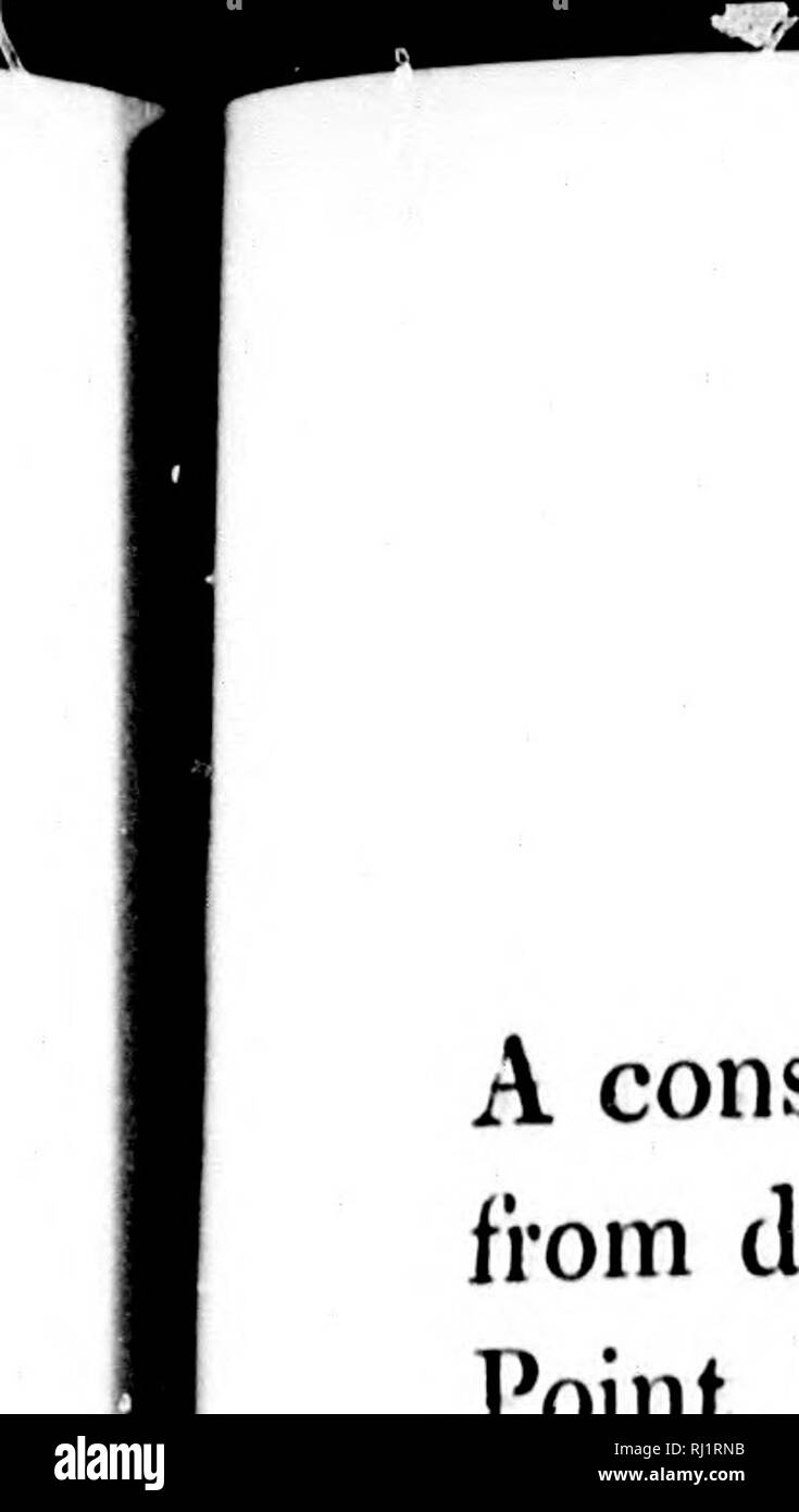 . Récit de l'expédition terrestre de l'Arctique à l'embouchure de la Grande rivière de poissons, et le long des rives de l'océan Arctique, dans les années 1833, 1834 et 1835 [microforme]. Expéditions scientifiques, Expéditions scientifiques. OBSKRVATJON DE LA CÔTE. 4d7 un endroit bien^ au promontoire vers l'Est, bleu à partir de la distance, qui avait été vu auparavant de Beaufort Point, était désormais nommé d'après le Capitaine Bowles, R. N. ; et tel était le changement qui avait été travaillé, dans le court intervalle de quelques heures, que l'ensemble de l'espace intermédiaire était libre d'obstacle, s'il avait le mieux notre but à le traverser. En effet, t Banque D'Images