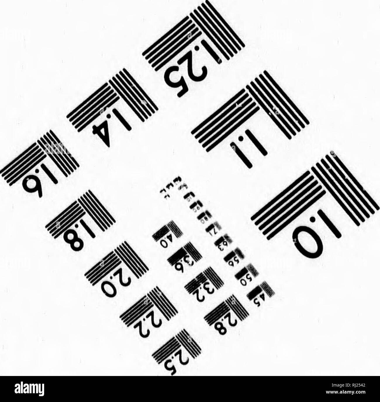 . Les mondes polaires et tropicales [microforme] : une description de l'homme et de la nature dans les régions équatoriales et polaires du globe : deux volumes en un seul : embracing a également un compte de l'expédition de tous les explorateurs de l'Arctique à partir de la découverte de l'Islande, plus il y a mille ans, à Hall's dernière expédition dans le nord du monde, ainsi que les belles découvertes et d'aventures d'Agassiz, Livingstone, Wallace, et d'autres éminents voyageurs dans les pays tropicaux. Les courses de l'Arctique ; Tropiques ; histoire naturelle ; Races arctiques ; Régions tropicales ; sciences naturelles ; la généalogie. /^ Photographe Banque D'Images