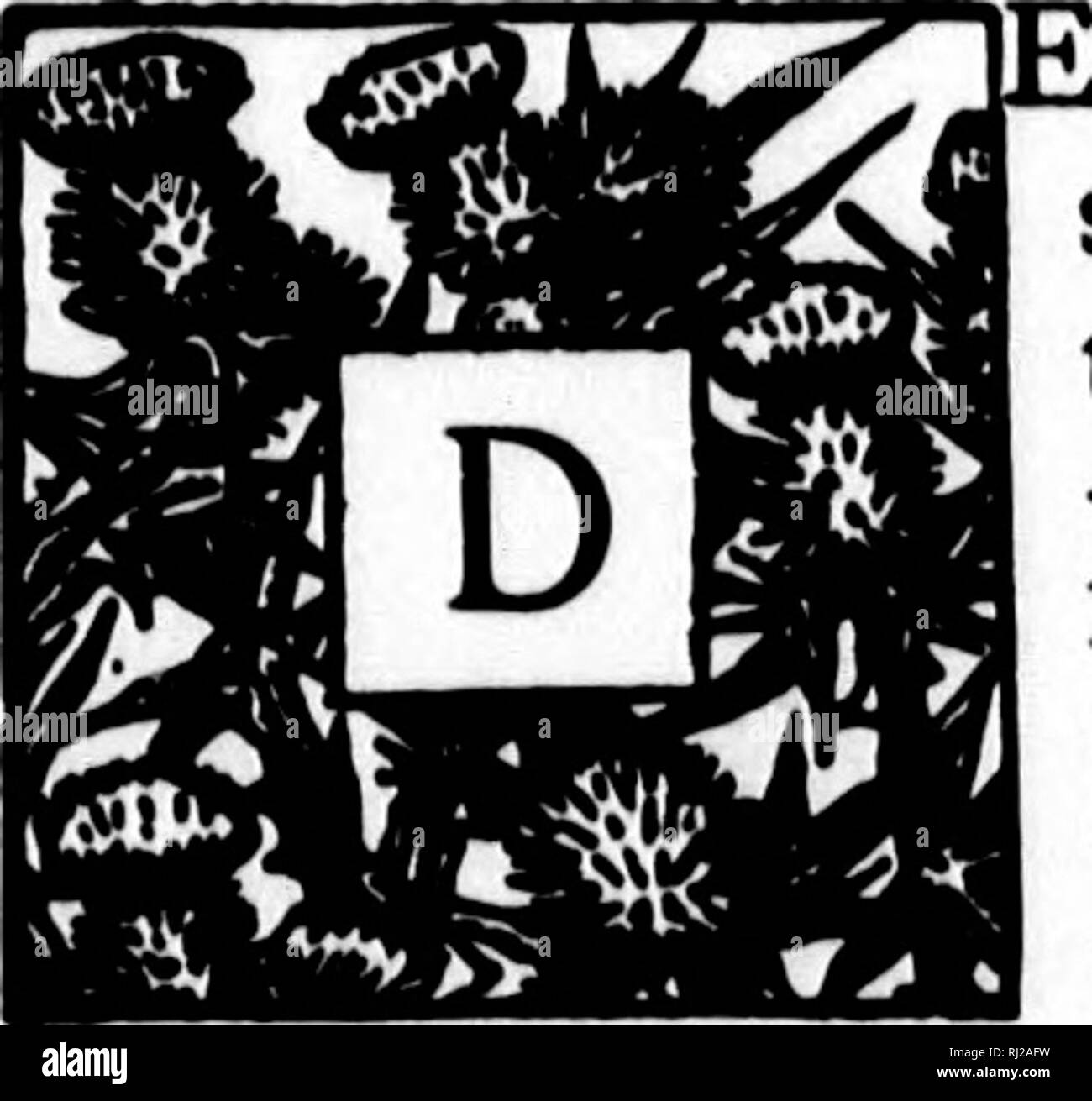 . L'histoire naturelle de Selborne [microform]. Histoire naturelle ; sciences naturelles. ^ ihneC une saison, lettre c. au même. Selborne, Xie, 1770 Avril. AR MONSIEUR,-J'ai entendu beaucoup d'oiseaux de plusieurs espèces chanter l'année dernière après la mi-été ; assez pour prouver que le solstice d'été n'est pas la période qui met un terme à la musique de la forêt. L'yellowhammer aucun doute persiste avec plus steadi- ness que tout autre ; mais la, l'wren woodlark, le redbreast, l'avaler, la fauvette grisette, le chardonneret, la politique commune de Linnet, sont tous les cas incontestables de la vérité de ce que j'ai avancé. Si cette saison sévère Banque D'Images